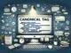 What is Canonical Tag and why is it important in SEO